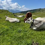 Casa Mammolo Διαμέρισμα Falcade